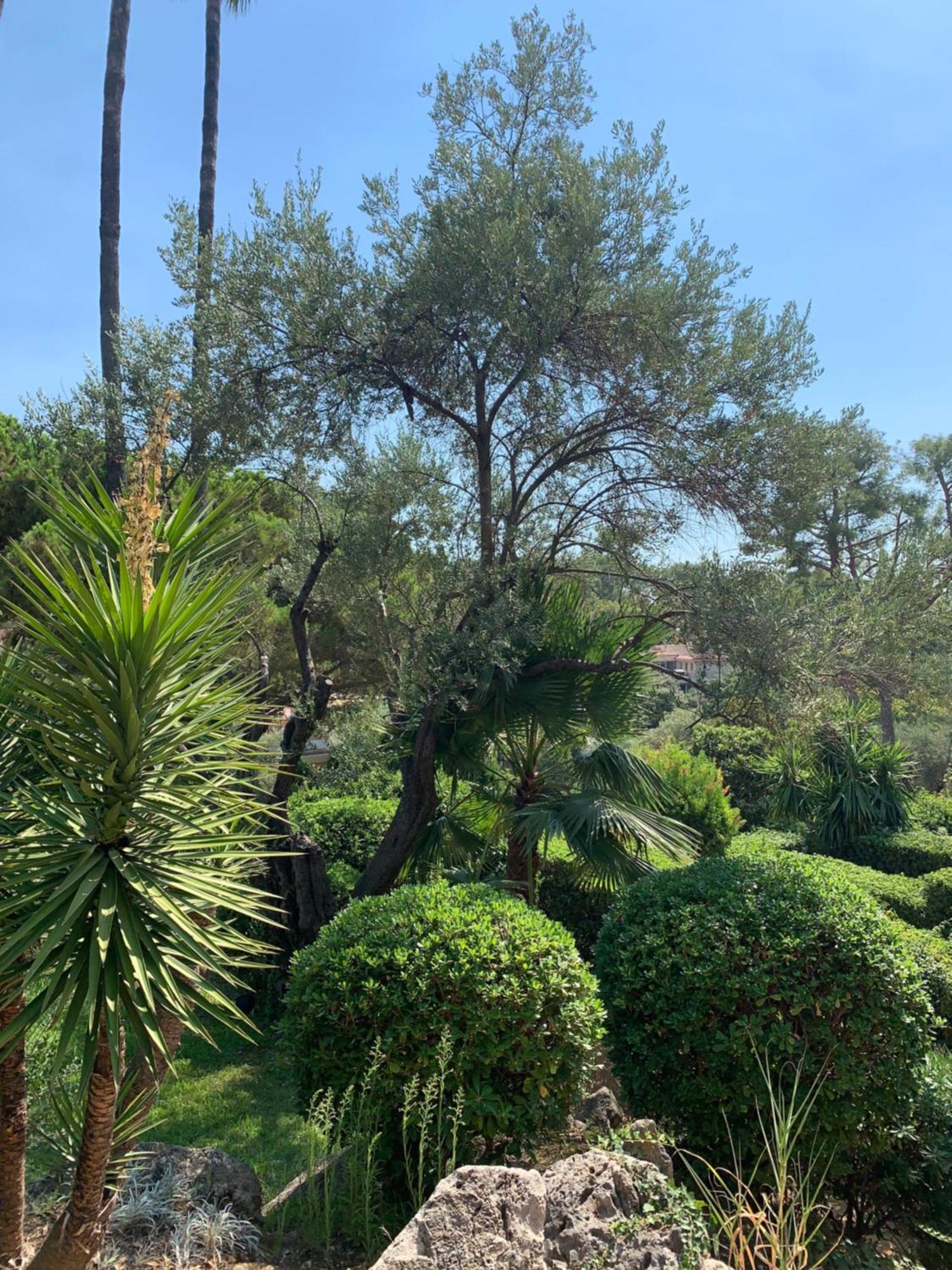 French Riviera Apartment With Swimming Pool And Free Parking Near Monaco Roquebrune-Cap-Martin Exterior photo